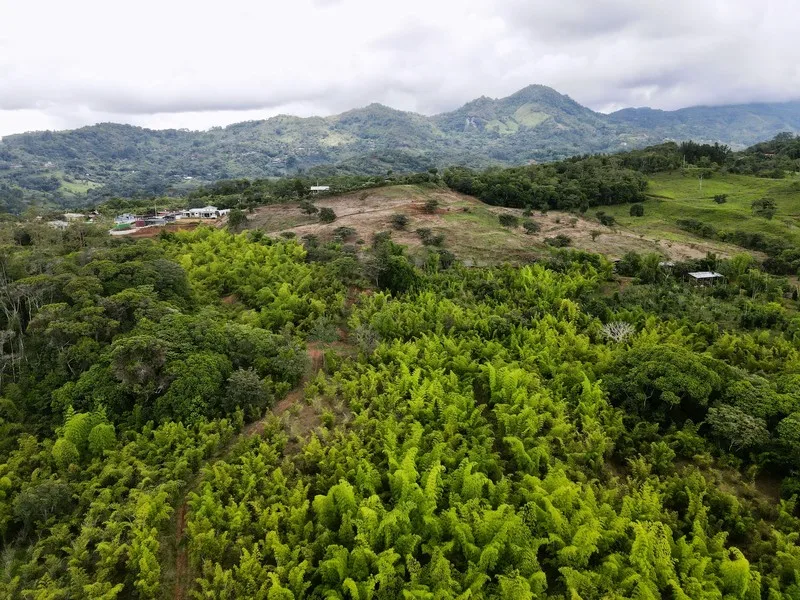 Land For Sale in Perez Zeledon, photo 9