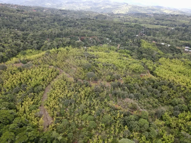 Land For Sale in Perez Zeledon, photo 10