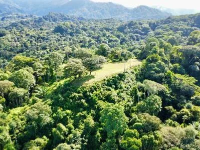 PROPERTY WITH OCEAN VIEWS AND SUNSET, IN OJOCHAL – 3.40 ACRES, photo 28