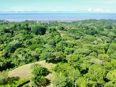 PROPERTY WITH OCEAN VIEWS AND SUNSET, IN OJOCHAL – 3.40 ACRES, photo 29