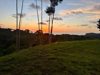 PROPERTY WITH OCEAN VIEWS AND SUNSET, IN OJOCHAL – 3.40 ACRES, photo 31