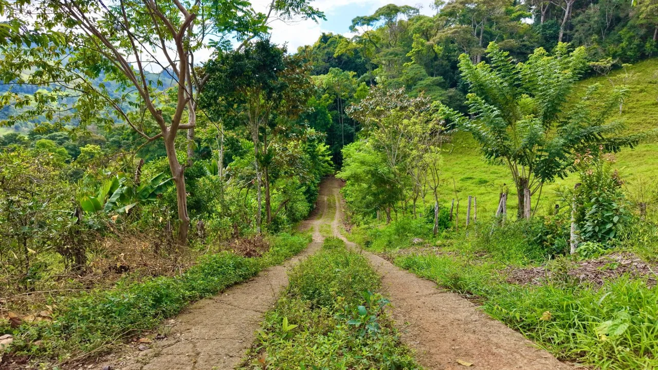 Perez Zeledon Jungle Oasis For Sale: Beautiful Private Paradise, photo 2