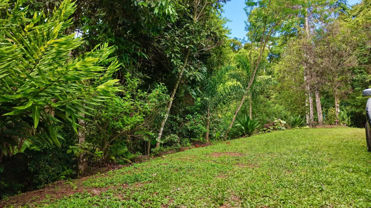 Perez Zeledon Jungle Oasis For Sale: Beautiful Private Paradise, photo 13