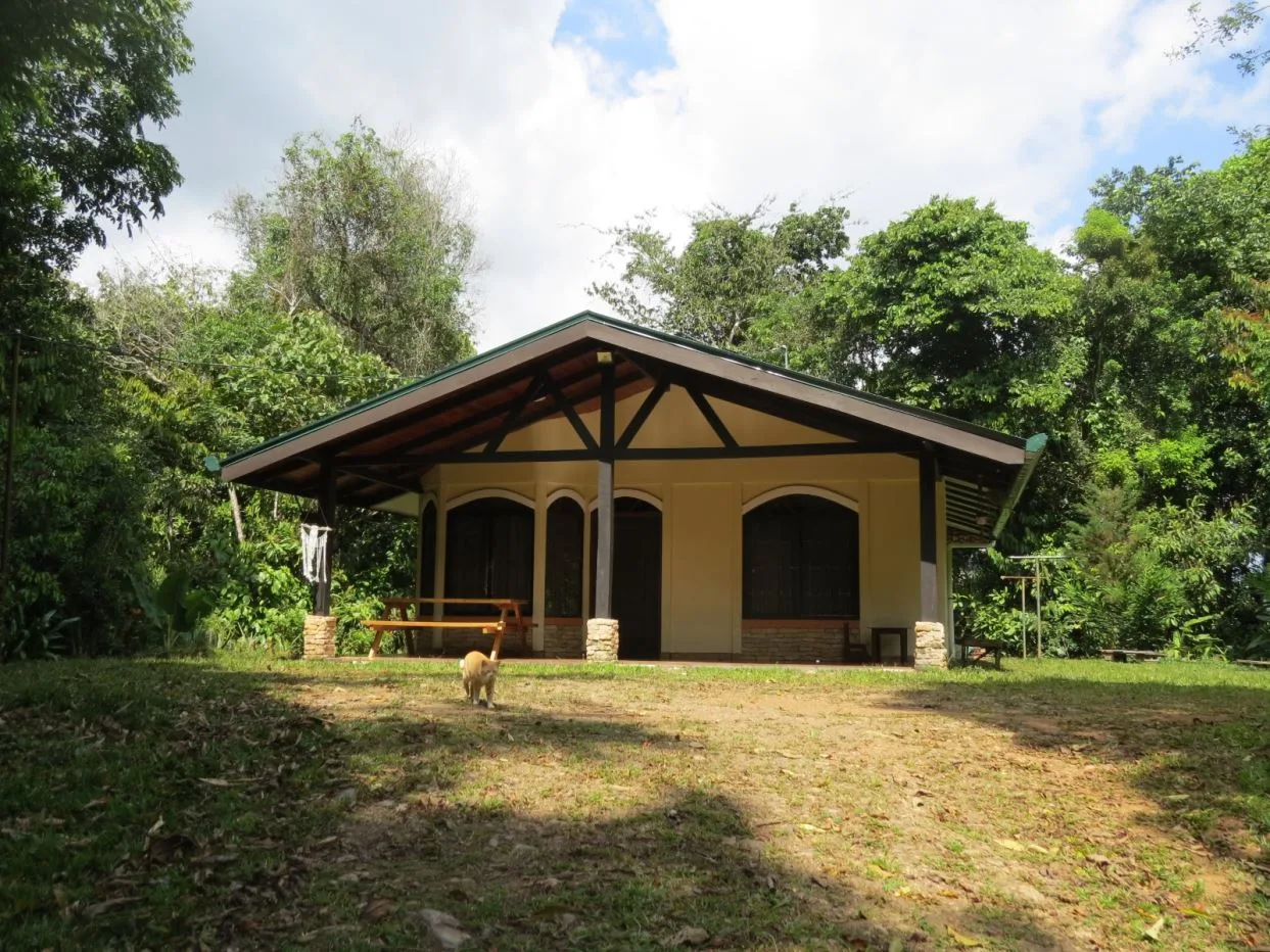 Perez Zeledon Jungle Oasis For Sale: Beautiful Private Paradise, photo 15