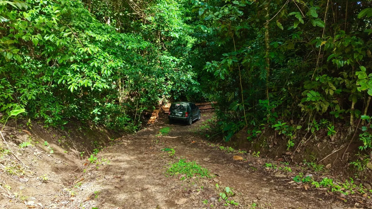 Perez Zeledon Jungle Oasis For Sale: Beautiful Private Paradise, photo 6