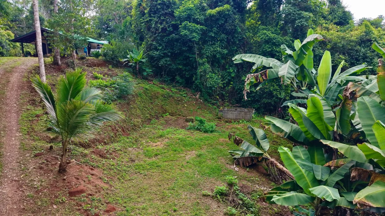 Perez Zeledon Jungle Oasis For Sale: Beautiful Private Paradise, photo 7