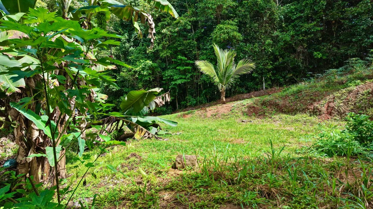 Perez Zeledon Jungle Oasis For Sale: Beautiful Private Paradise, photo 8