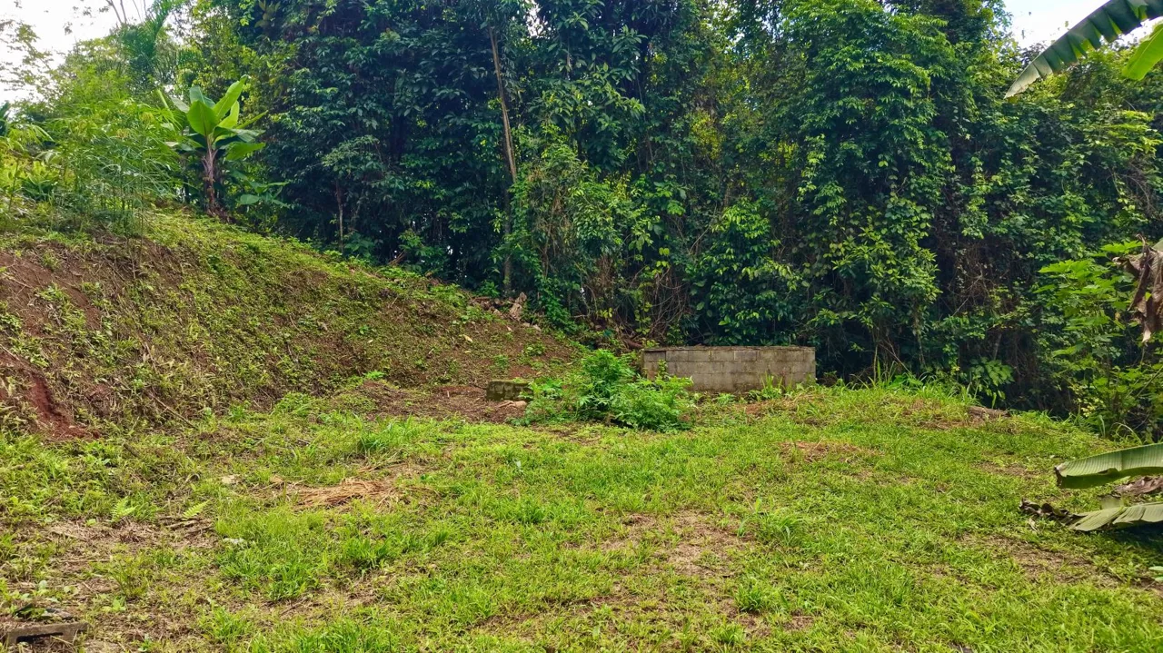 Perez Zeledon Jungle Oasis For Sale: Beautiful Private Paradise, photo 9