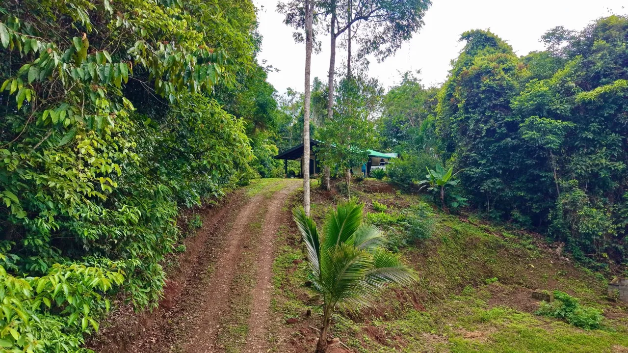 Perez Zeledon Jungle Oasis For Sale: Beautiful Private Paradise, photo 10