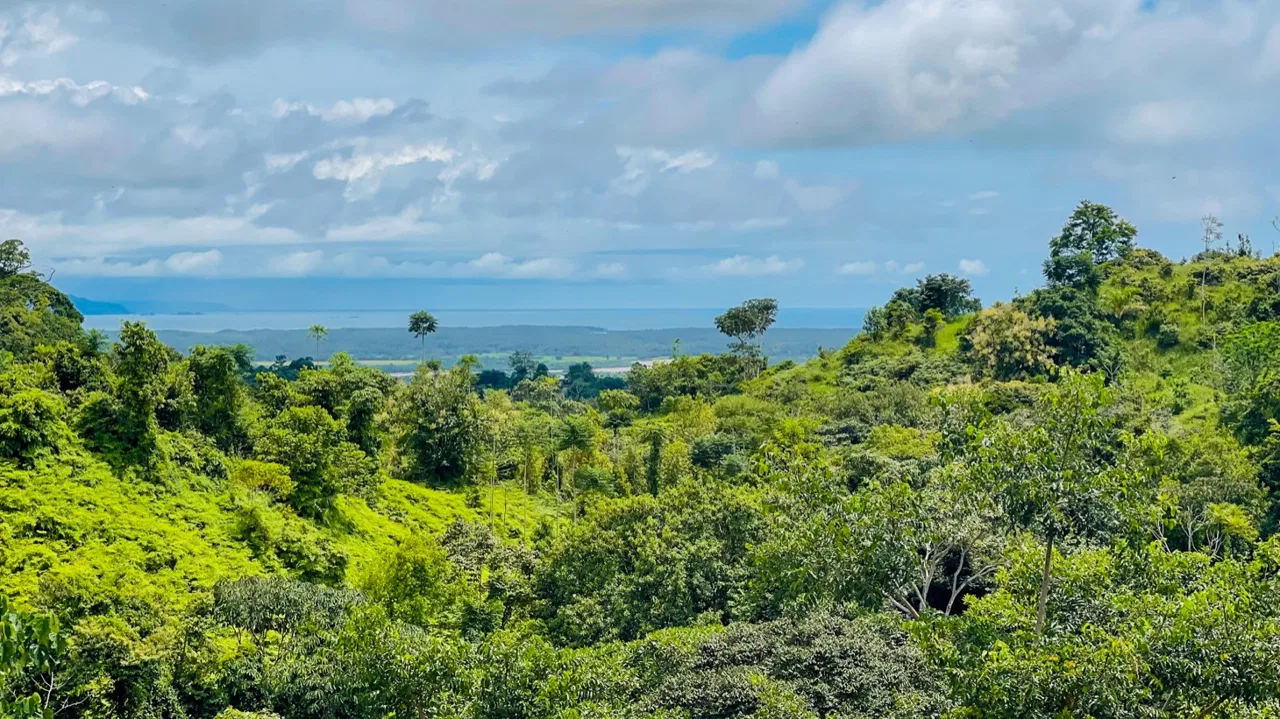 3-BEDROOM OCEAN VIEW HOME IN GATED COMMUNITY – 0.24 ACRES, photo 5