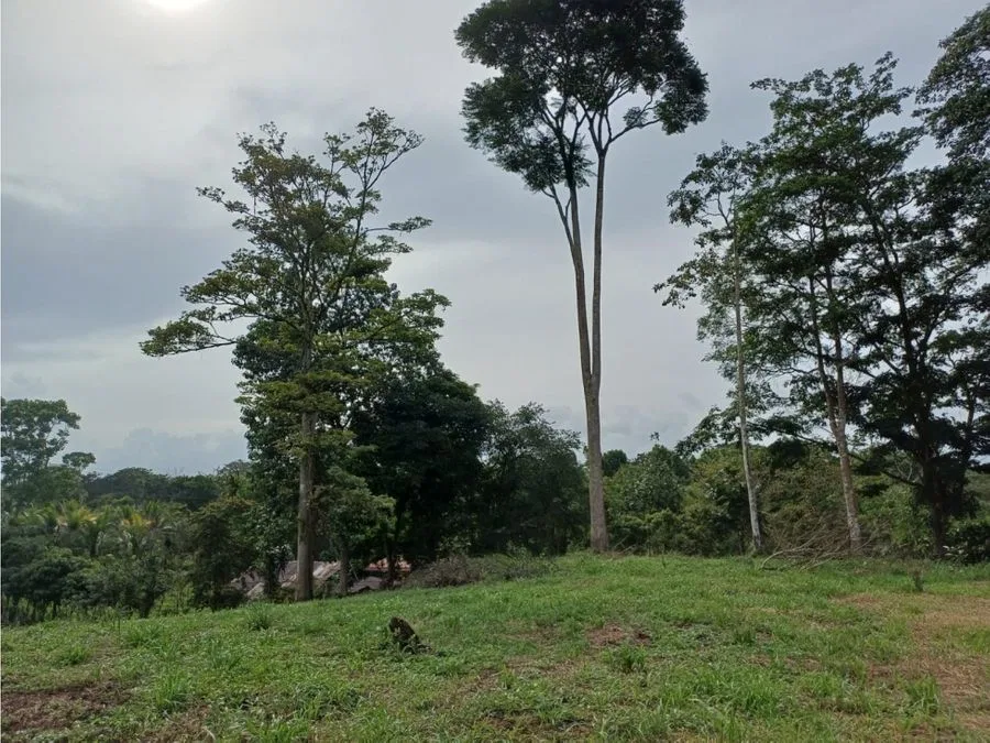 VENTA DE LOTE USO DE SUELO MIXTO, HEREDIA, SARAPIQUI, HORQUETAS