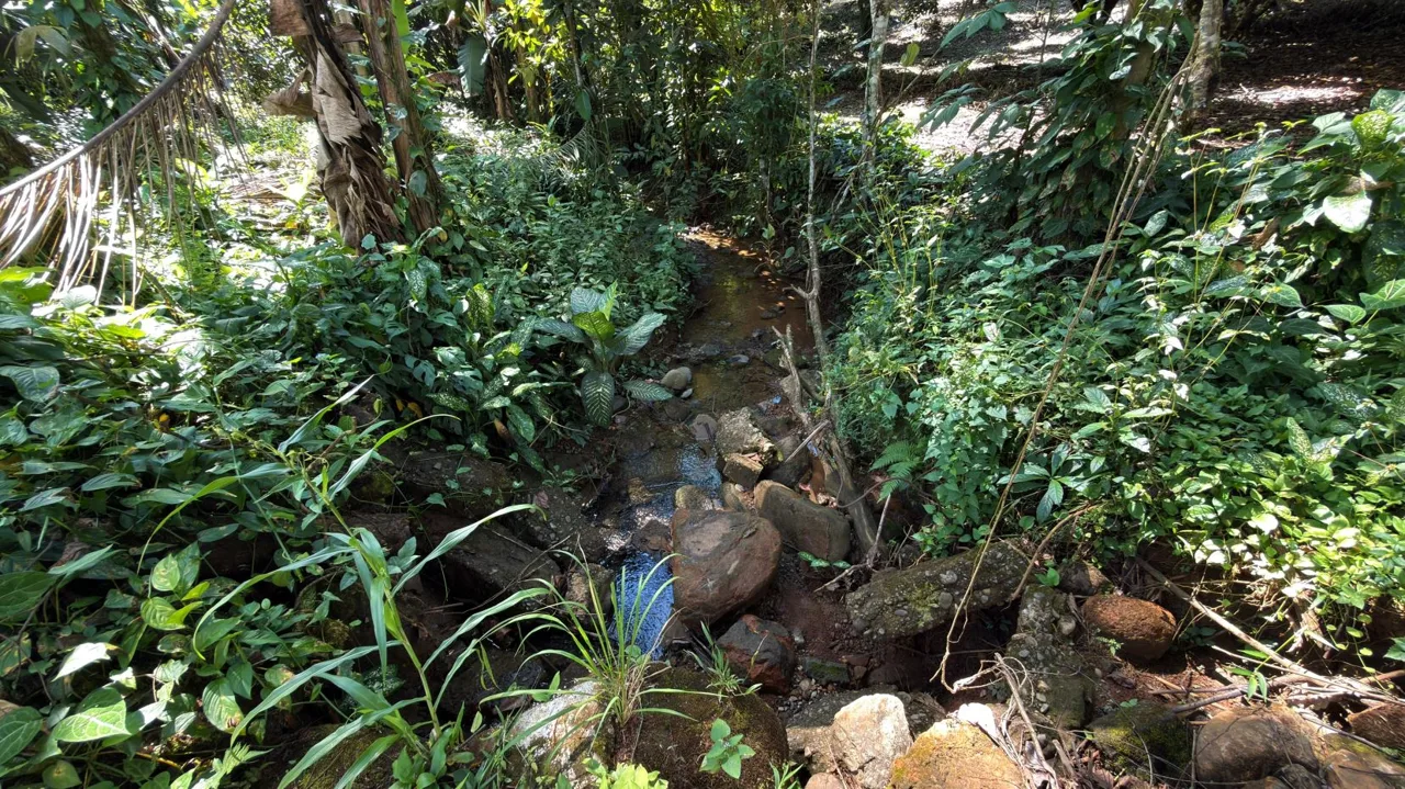 Productive Farm for Sale in Pueblo Nuevo de Cajón – High Profitability &amp; Strategic Location, photo 10