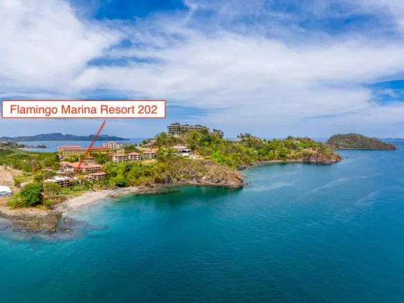 Flamingo Marina Resort 202, ocean view Apartment