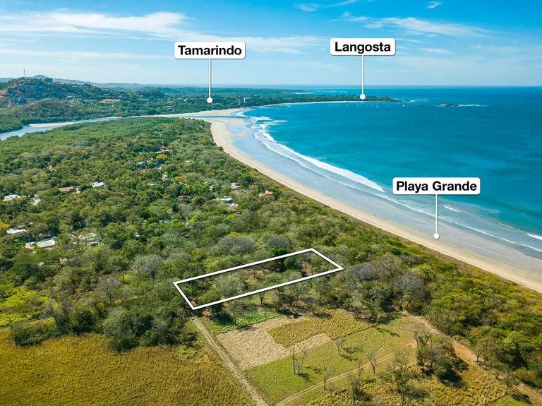 Playa Grande Lot #1: Titled Beachfront Estate Lot Playa Grande, photo 12