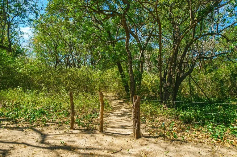 Playa Grande Lot #1: Titled Beachfront Estate Lot Playa Grande, photo 7