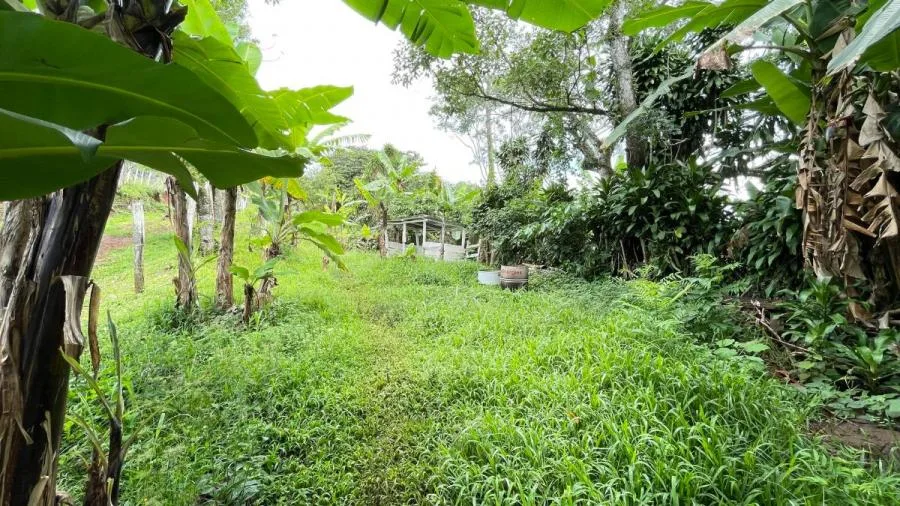 Venta de Finca en Puriscal, San José. RAH 26-6 - Venta en Puriscal, photo 13