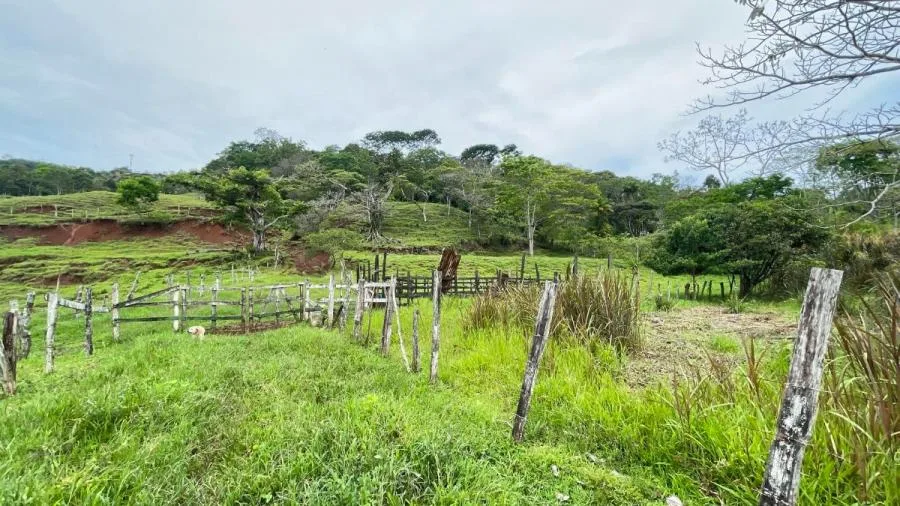 Venta de Finca en Puriscal, San José. RAH 26-6 - Venta en Puriscal, photo 7
