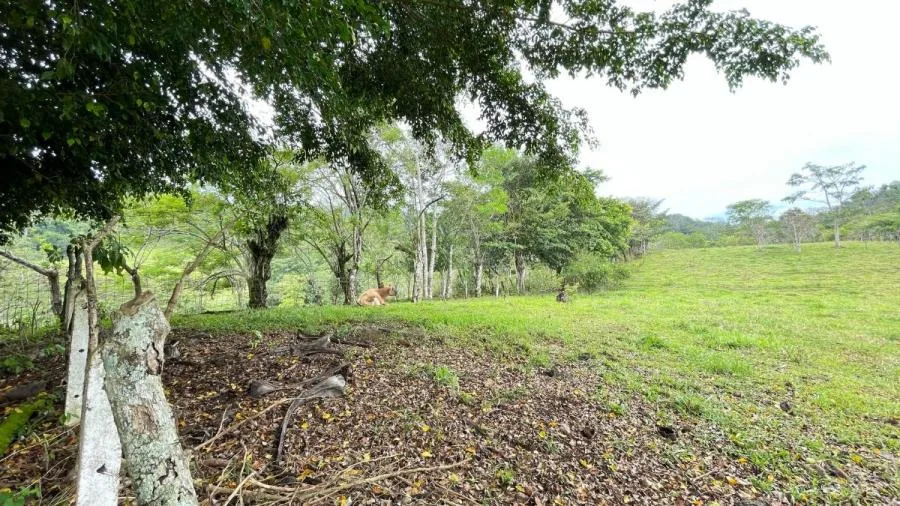 Venta de Finca en Puriscal, San José. RAH 26-6 - Venta en Puriscal, photo 10