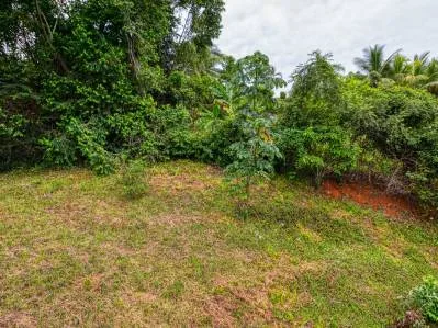 ¡Lote comercial y residencial con frente a la autopista! ¡Excelente ubicación! Ojochal, photo 8