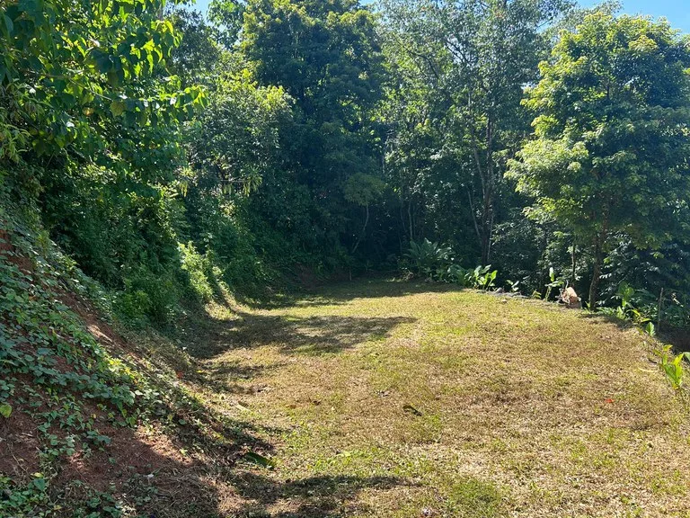 Reasonable Lot for sale in Uvita, photo 2