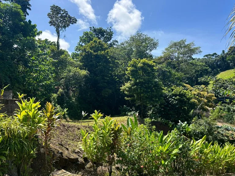 Reasonable Lot for sale in Uvita, photo 12