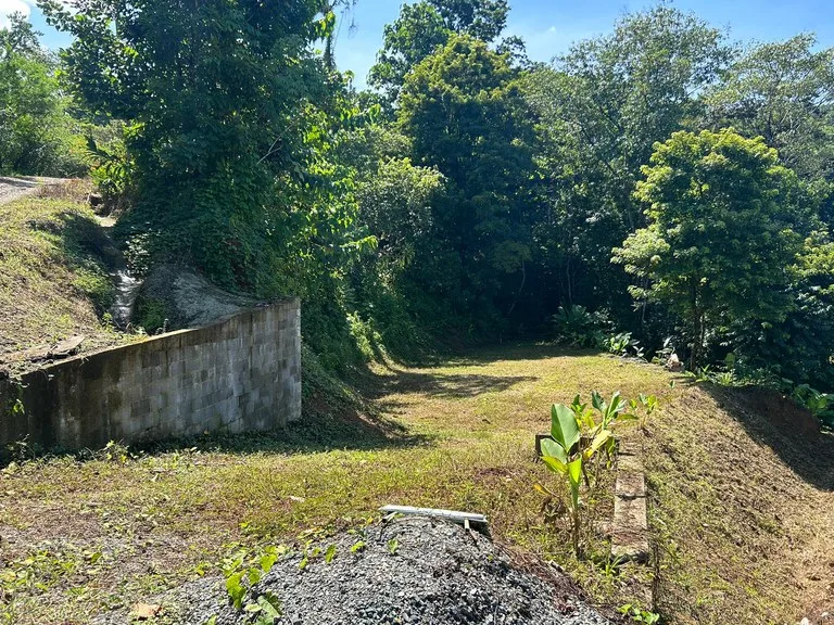 Reasonable Lot for sale in Uvita, photo 3