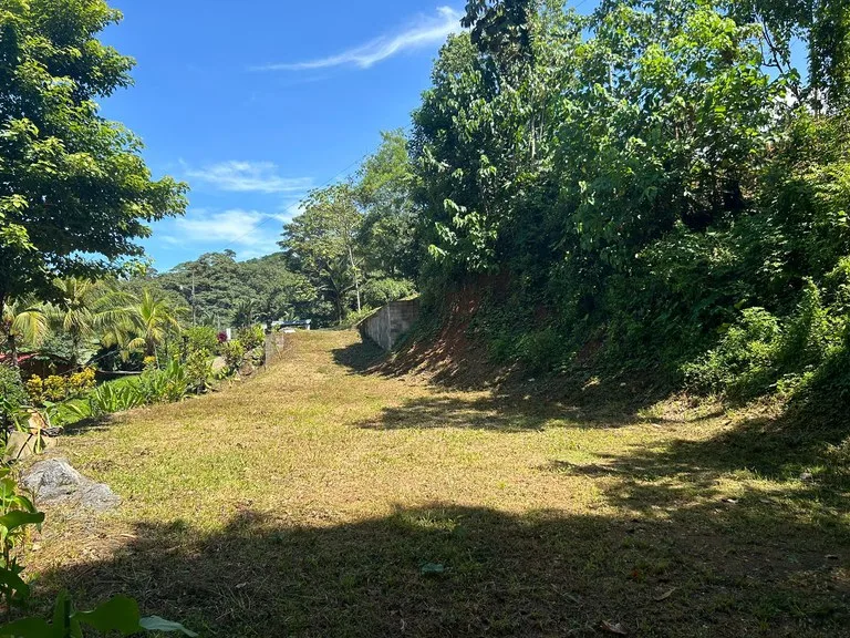 Reasonable Lot for sale in Uvita, photo 4