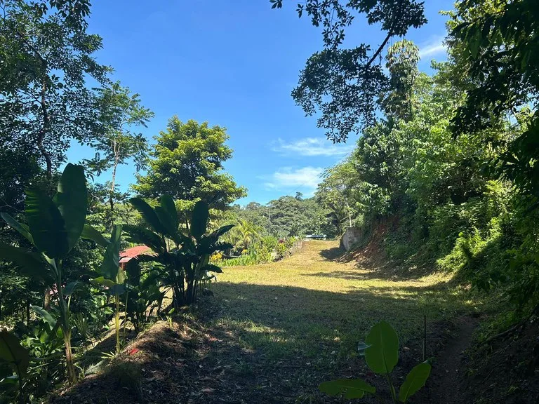 Reasonable Lot for sale in Uvita, photo 5