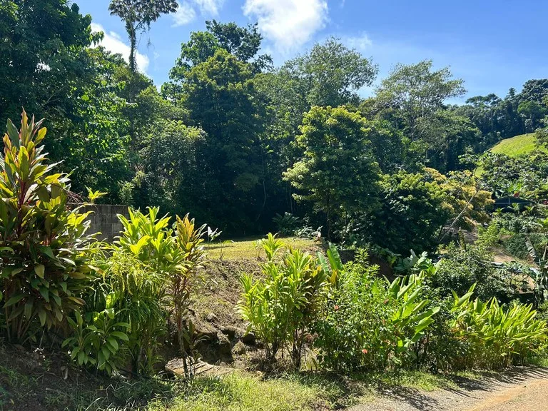 Reasonable Lot for sale in Uvita, photo 6