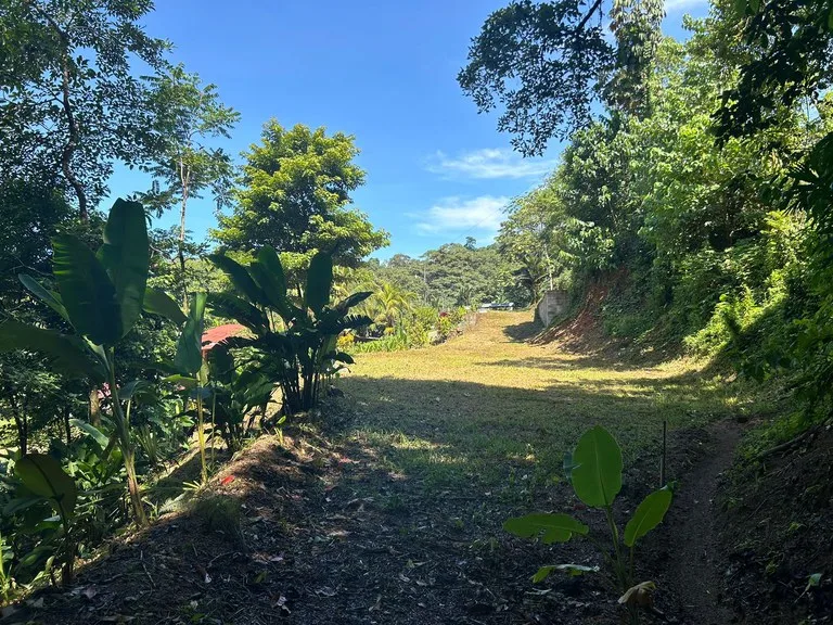 Reasonable Lot for sale in Uvita, photo 7