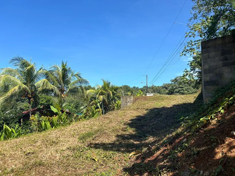 Reasonable Lot for sale in Uvita, photo 9