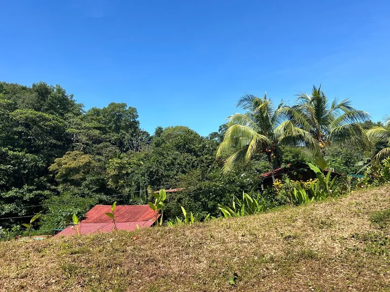 Reasonable Lot for sale in Uvita, photo 10