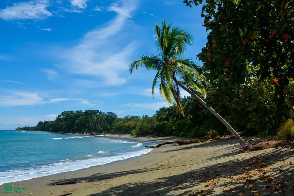 Osa Peninsula – Near Cabo Matapalo, Golfito, Puntarenas 61301
