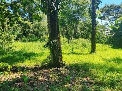 ¡Gran Oportunidad en Bordon Cahuita, Costa Rica!