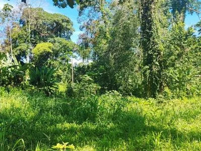 ¡Gran Oportunidad en Bordon Cahuita, Costa Rica!, photo 2