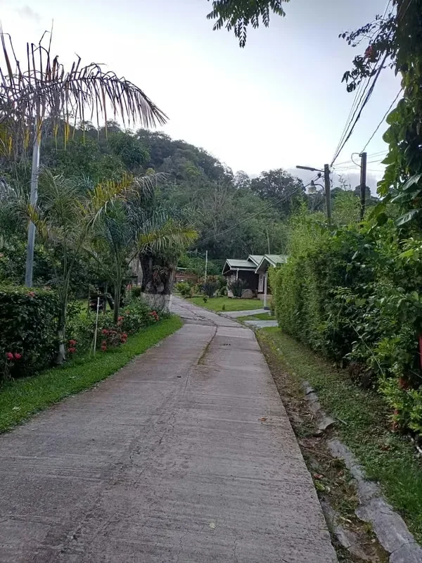 Nestled in the mountains of Acosta, Costa Rica, this beautiful property offers a peaceful setting surrounded by nature, landscaped gardens, and complete privacy. Set on **5,777 m² ..., photo 15