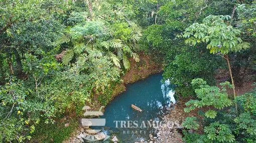 RANCHO TERMALING GUAYABAL, photo 16