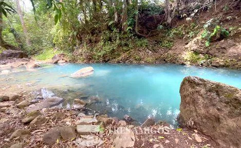 RANCHO TERMALING GUAYABAL, photo 20