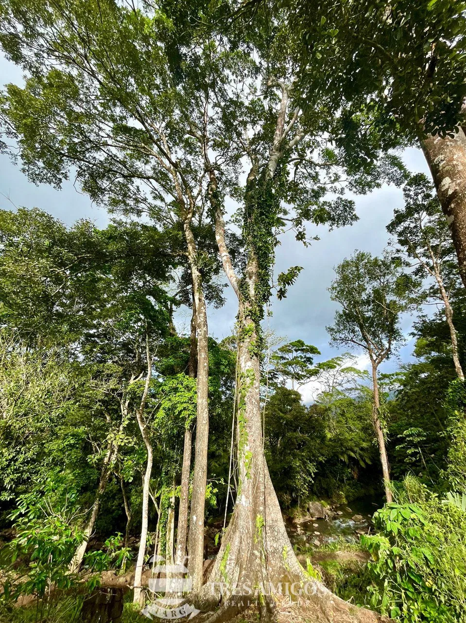 RANCHO TERMALING GUAYABAL, photo 21