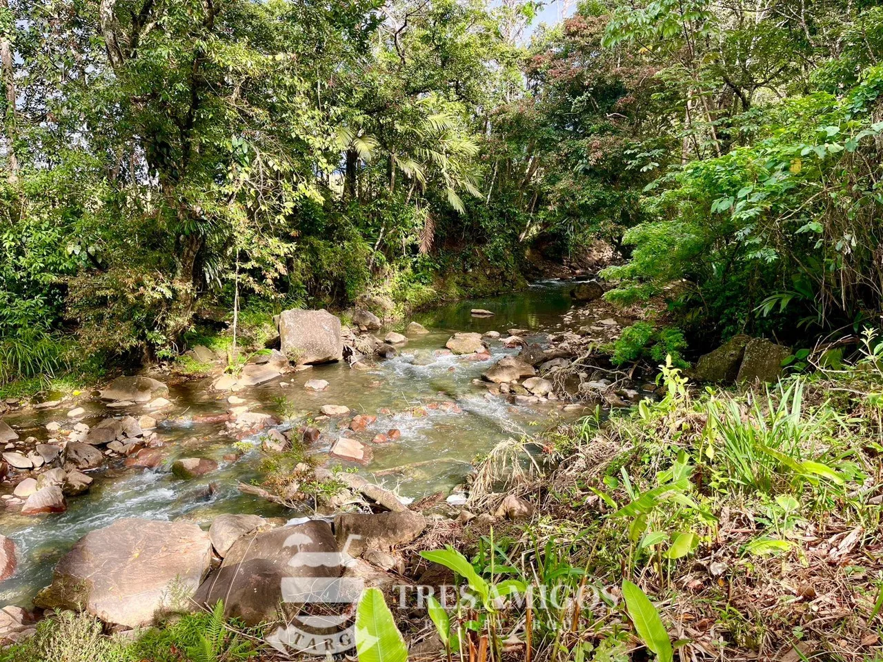 RANCHO TERMALING GUAYABAL, photo 24