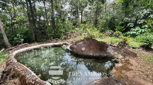 RANCHO TERMALING GUAYABAL, photo 9
