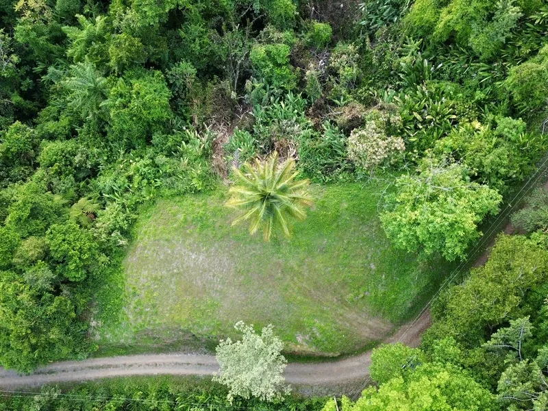 Land For Sale in Dominical, photo 2