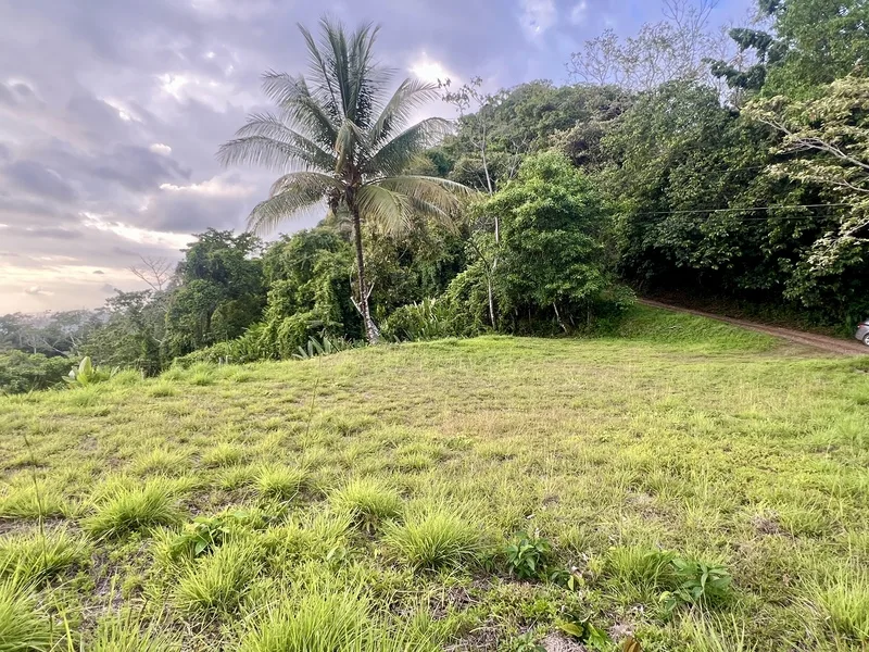 Land For Sale in Dominical, photo 12