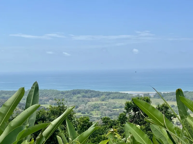 Land For Sale in Dominical, photo 13