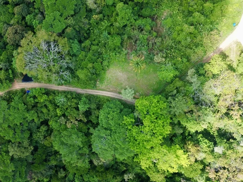 Land For Sale in Dominical, photo 14