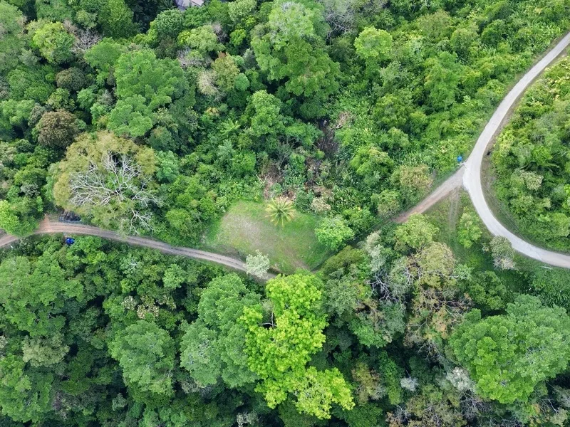 Land For Sale in Dominical, photo 15