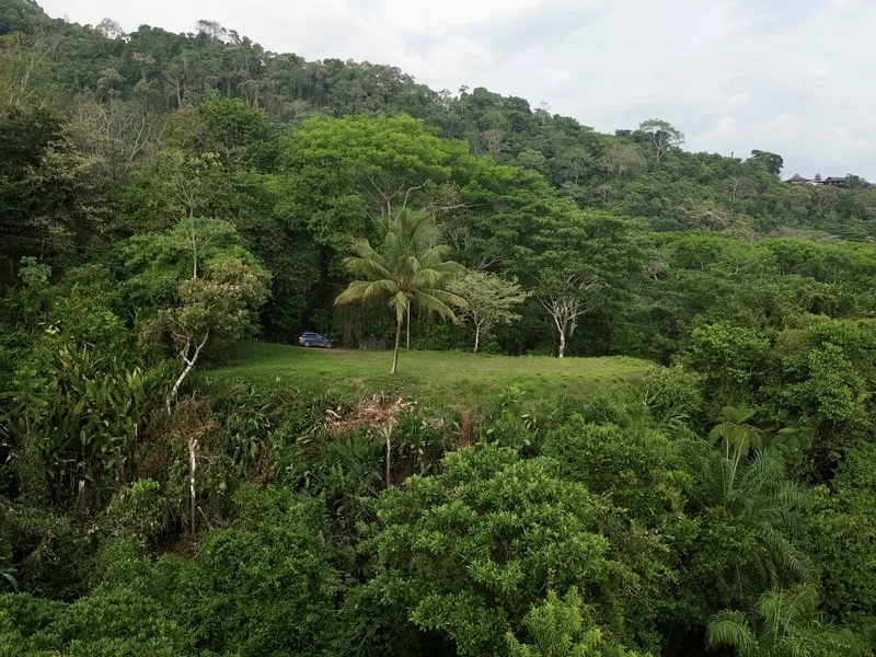 Land For Sale in Dominical, photo 3