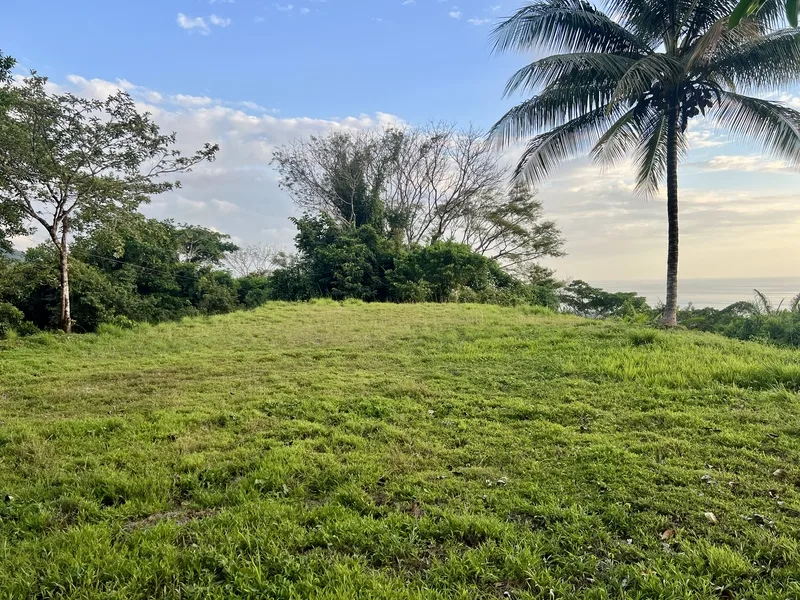 Land For Sale in Dominical, photo 4