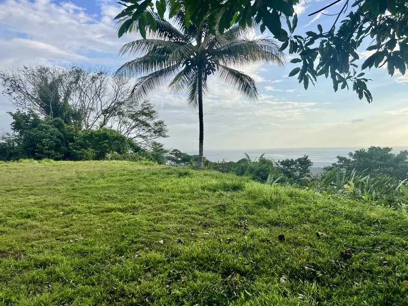 Land For Sale in Dominical, photo 5