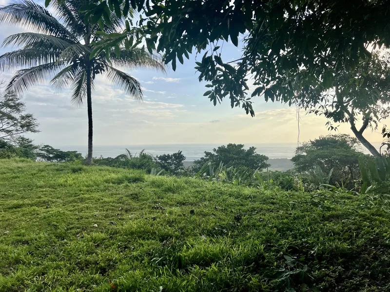 Land For Sale in Dominical, photo 6